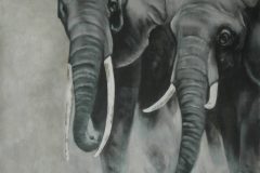 charge-des-2-elephants1